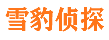 渭滨市私家侦探